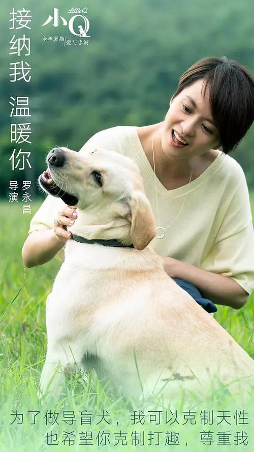 不动产证在房管局没有记录
